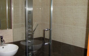 Contemporary Bathroom Shower Door